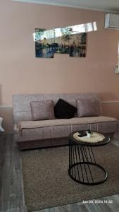 Apartman Iva休息區