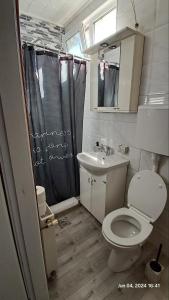 Apartman Iva衛浴