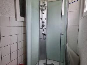 una ducha con puerta de cristal en un baño en Le ruisseau du Bâmont - Quiet Area, Near Trails, en Saulxures-sur-Moselotte