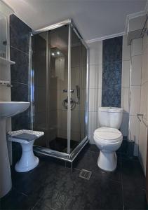 a bathroom with a shower and a toilet and a sink at Niki Apartments in Paralia Dionysiou