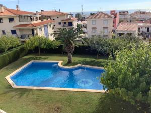 a swimming pool in a yard with a palm tree at Apartamentos San Benet Casa Azahar in Alcossebre +3 photos