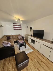 TV a/nebo společenská místnost v ubytování Apartment Medved
