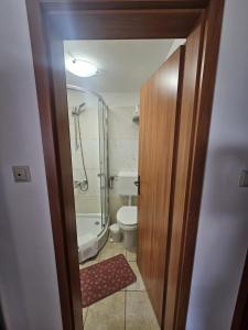 Koupelna v ubytování Apartment Medved