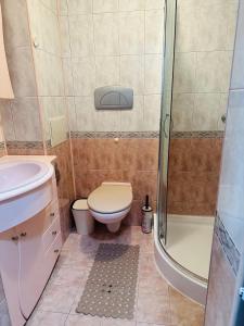a small bathroom with a toilet and a shower at Lux Apartment Sisi in Burgas