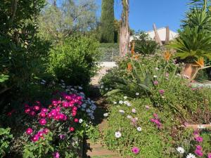 ogród z różowymi i białymi kwiatami i roślinami w obiekcie LA PASSIFLORE w mieście La Londe-les-Maures
