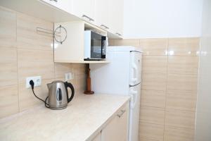 Kuchyň nebo kuchyňský kout v ubytování APARTMENTS ANDREA