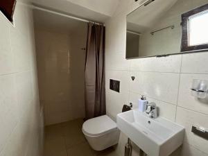 a bathroom with a sink and a toilet and a mirror at Apartman Maslina in Poreč +28 photos