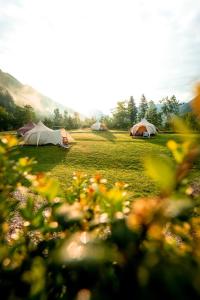 two tents in a field with flowers in the foreground at Glamping Gozdna Jasa in Bovec