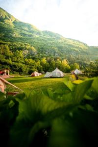 a group of tents in a field with mountains in the background at Glamping Gozdna Jasa in Bovec