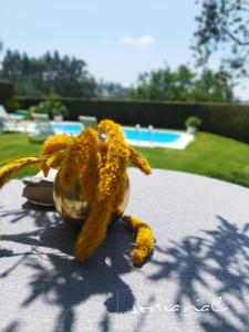 Bazén v ubytovaní Hogar Gallán alebo v jeho blízkosti