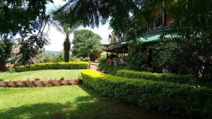 Zahrada ubytování Surjios Guest House