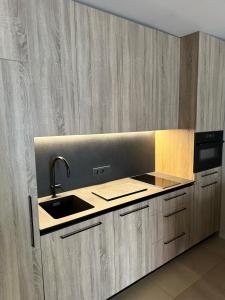 a kitchen with a sink and a counter top at Vila Vika in Palanga