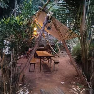 una mesa de picnic y una tienda en un bosque en The Caveman Goa-River-view Retreat., en Arambol