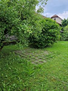 a stone path in the grass next to a bush at GreenFamilyAppartment near Ljubljana in Domžale