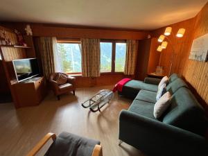 a living room with a couch and a television at La petite Silene in Leysin