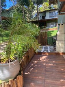 a potted palm tree in a large pot on a patio at CASA PRAIA DO FORTE in Mata de Sao Joao