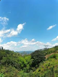 a view of auliculiculiculiculiculiculiculiculiculiculiculic at Posadas rurales arabi in Pereira