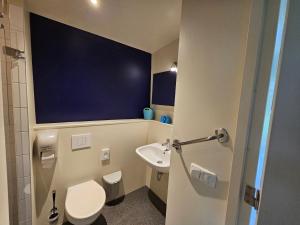 a small bathroom with a toilet and a sink at Bij Het BuitenGoed in Rijsbergen +31 photos