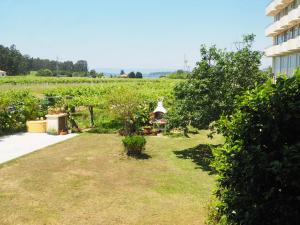 a garden in front of a building with a vineyard at O Cunchal Rooms in Dena