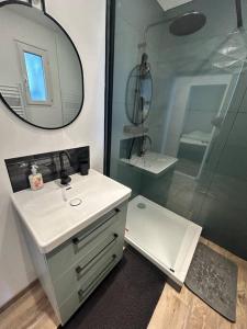 une salle de bain avec un lavabo et une douche avec un miroir dans l'établissement Le chant des vagues, à Marseille 30 autres photos