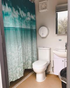 ein Bad mit einem WC und einem Waschbecken in der Unterkunft #7 Whole New World in Drumheller