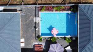 an overhead view of a swimming pool with a pink object at Tropical appartement 2 in Paramaribo +3 photos