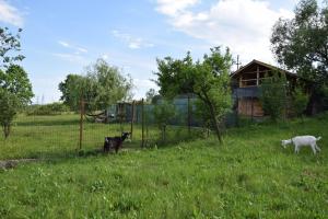 Fotografie z fotogalerie ubytování La Radacini v destinaci Horezu