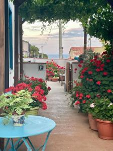 A garden outside Sa dommo de Mammai