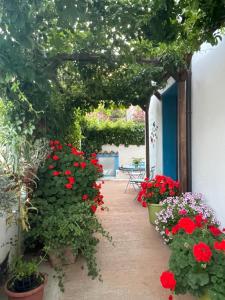 A garden outside Sa dommo de Mammai