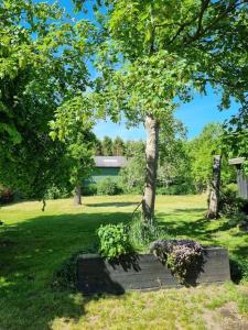 Vrt pred nastanitvijo Willkommen in Frifelt Nähe Rømø mit wunderschönen Garten