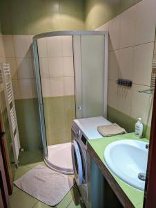 a bathroom with a shower and a sink and a washing machine at Roubenka in Červený Kostelec