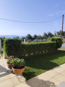 Zahrada ubytování Afrodites sea view house