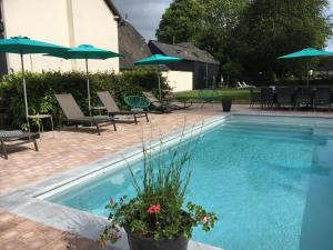 uma piscina com cadeiras e guarda-sóis ao lado em Le Logis Fleurs et jardins de Pitry 