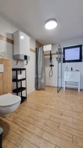 ein Bad mit einem WC und einem Waschbecken in der Unterkunft Domki NASZE GĄSKI in Gąski