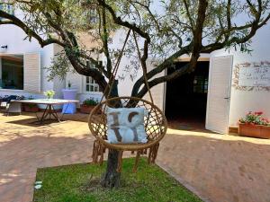 una silla con una almohada sentada frente a un árbol en Casa Consalvo b&b, en Pontecagnano Faiano