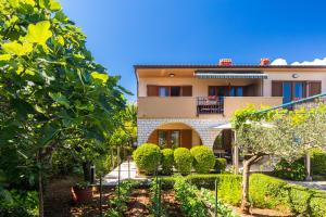 Zahrada ubytování Apartmani Pina