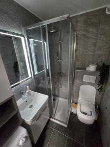 a bathroom with a shower and a toilet and a sink at Excellente apartman in Ðurđenovac +3 photos