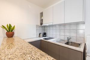 Kuchyň nebo kuchyňský kout v ubytování Apartmani Pina
