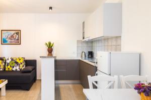 Kuchyň nebo kuchyňský kout v ubytování Apartmani Pina