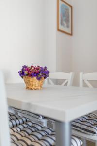Fotografie z fotogalerie ubytování Apartmani Pina v destinaci Krk
