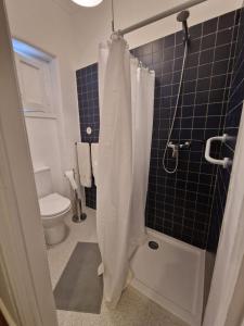 a bathroom with a shower curtain and a toilet at Boa Noite Casa de Hospedes in Lisbon