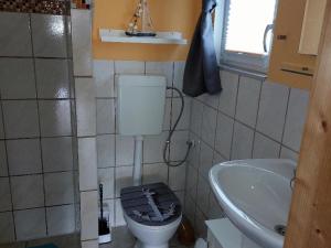 a small bathroom with a toilet and a sink at Bungalow in Klein Str mkendorf in Klein Strömkendorf