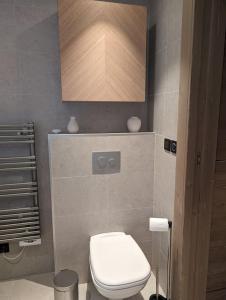 un bagno con un water bianco e uno specchio di legno di Appartement de standing Auron ad Auron Altre 11 foto