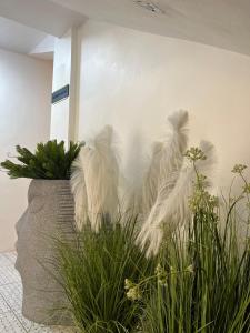 three feathers on a wall in a room with plants at RIG Colonial Experience in Santo Domingo