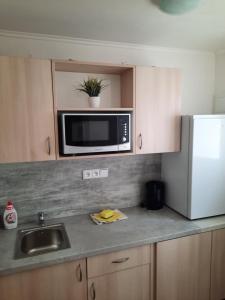 Kuchyňa alebo kuchynka v ubytovaní Apartmán u Bouře