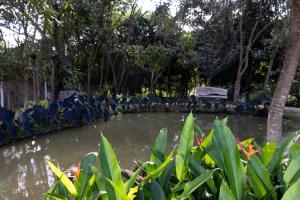 Paisagem natural perto do hotel