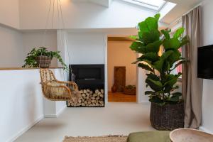a living room with a chair and a plant at N1Quartier in Bad Münstereifel