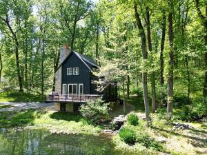 ein schwarzes Haus im Wald neben einem Teich in der Unterkunft The Roundtop Chalet romantic couples getaway in Wrightsville