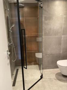 un bagno con doccia in vetro e WC di de Springop a Eefde