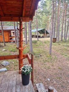 Fotografie z fotogalerie ubytování Tørfoss Gård, Hytte utleie, Campingvogn og bobil plasser v destinaci Potka